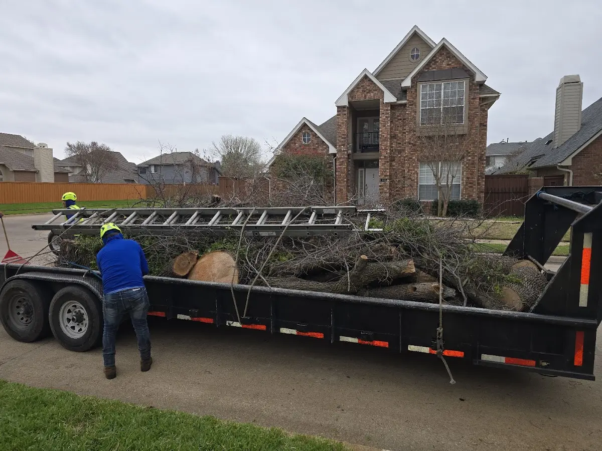 Expert Tree Fertilization with proper safety equipment in Ravenden